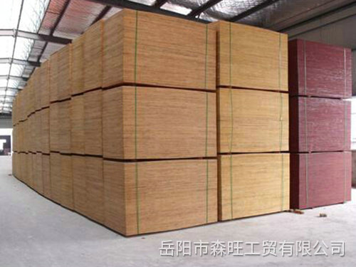 建筑模板2